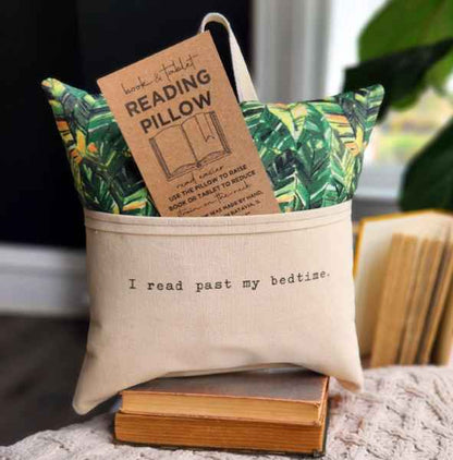 Reading Pillows--SALE!